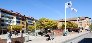 Olskroken, miljöbild sommar